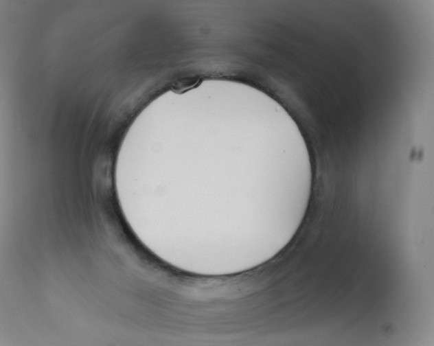 X0000112200021200909041328