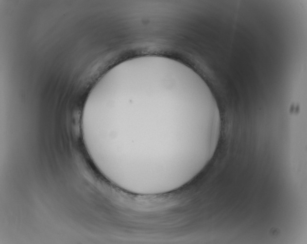 X0000112200022200909041328