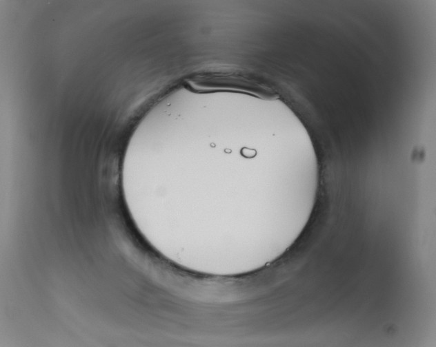 X0000112200024200909041328