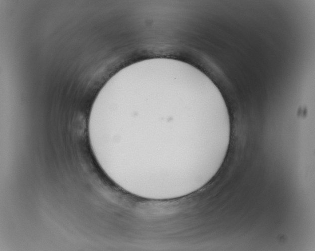X0000112200025200909041328