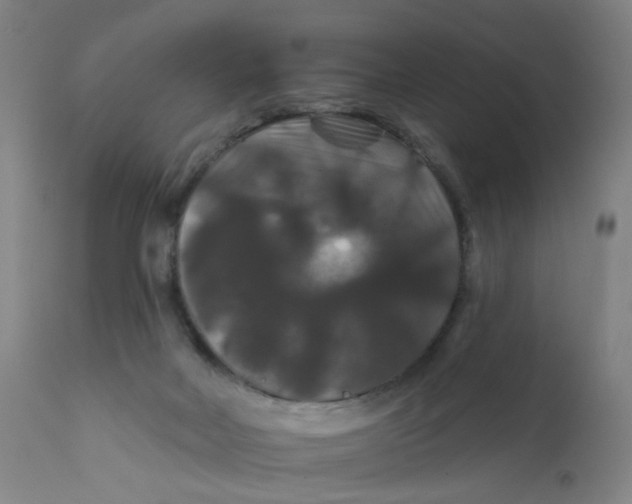X0000112200026200909041328
