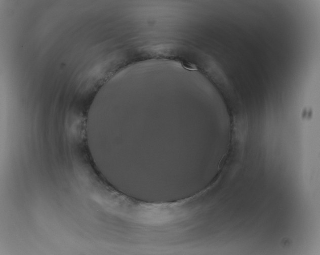 X0000112200029200909041328