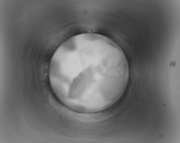 X0000112200030200909041328