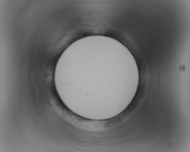 X0000112200032200909041327
