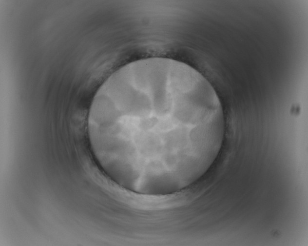 X0000112200034200909041327