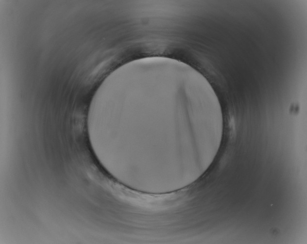 X0000112200035200909041327