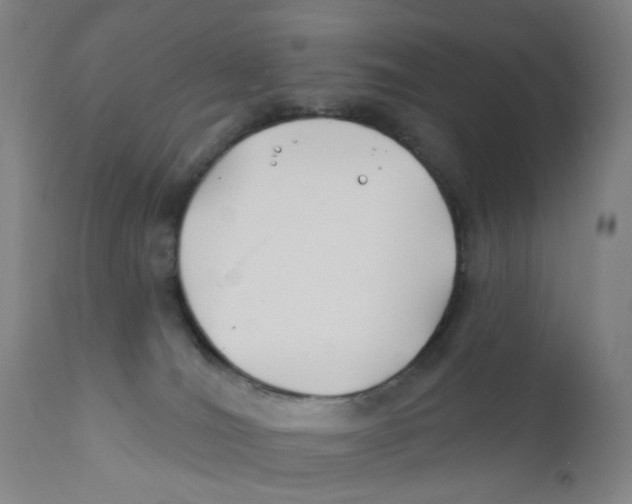 X0000112200036200909041327