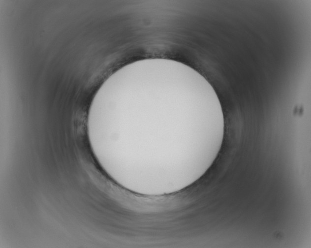 X0000112200038200909041327