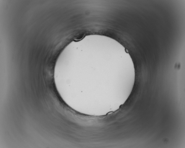 X0000112200040200909041327