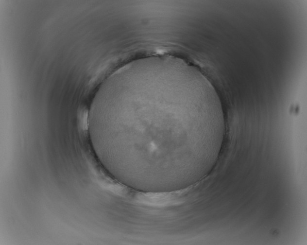 X0000112200041200909041327