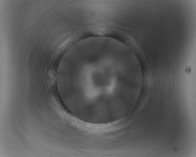 X0000112200043200909041327