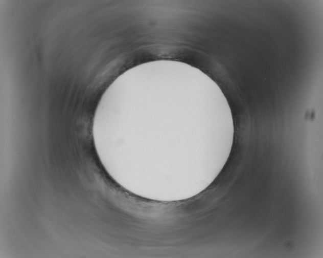 X0000112200044200909041327