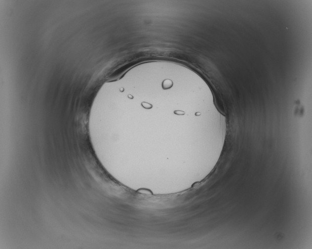 X0000112200045200909041327
