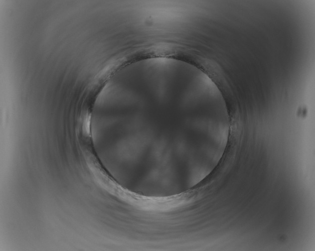 X0000112200046200909041327