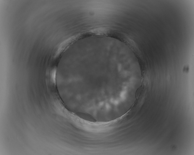 X0000112200047200909041327
