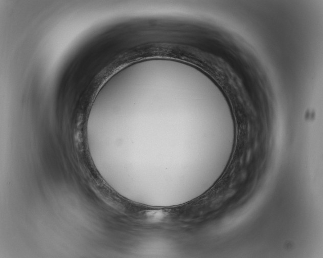 X0000112200050200909041326