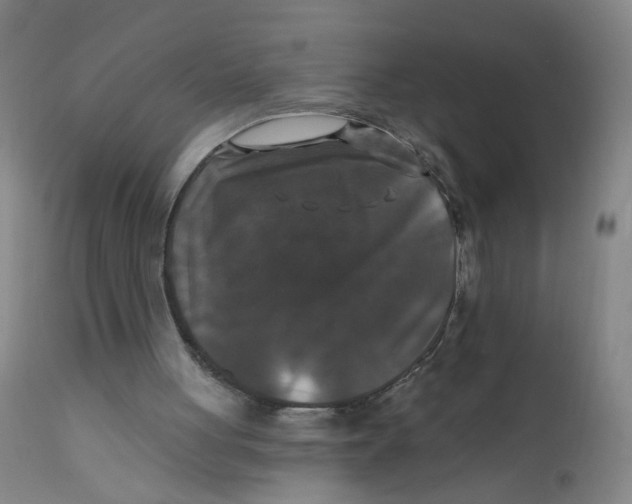 X0000112200051200909041326