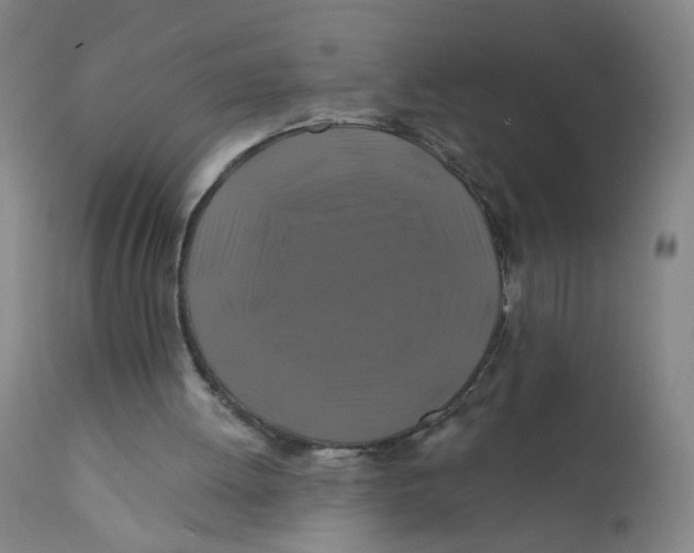 X0000112200052200909041326