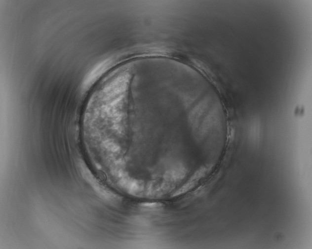 X0000112200053200909041326