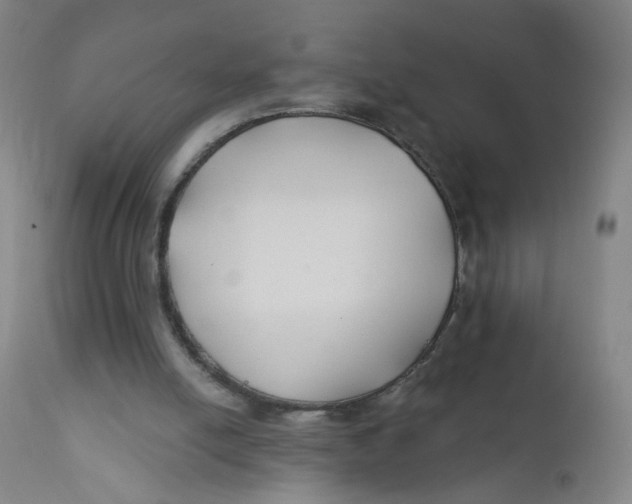 X0000112200054200909041327