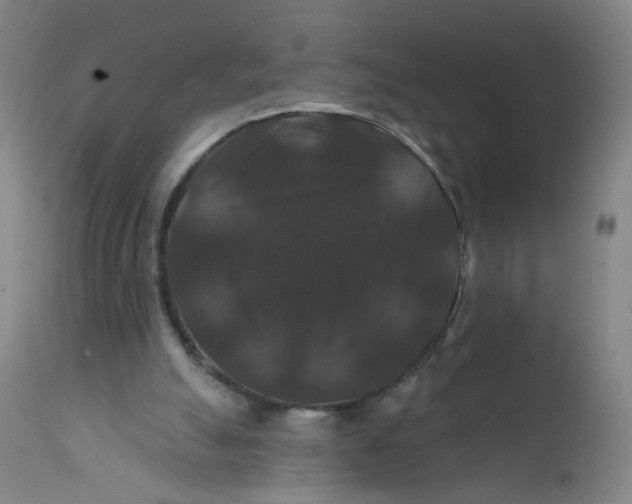 X0000112200055200909041327
