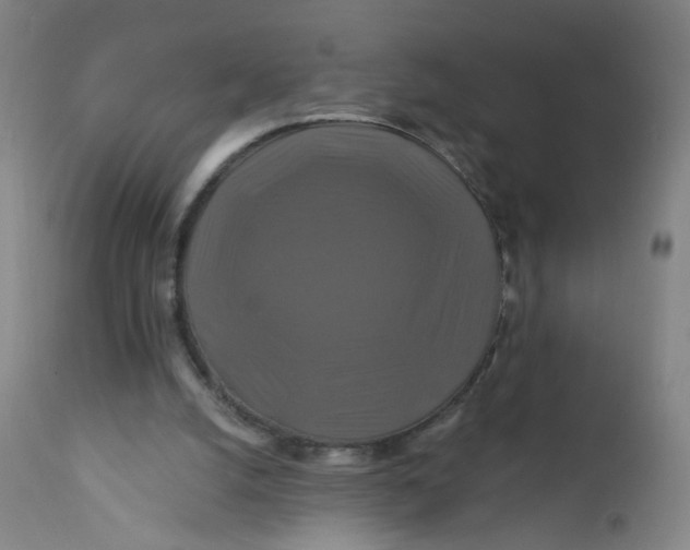 X0000112200056200909041327