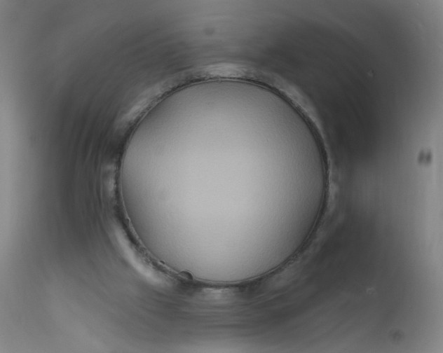 X0000112200057200909041327