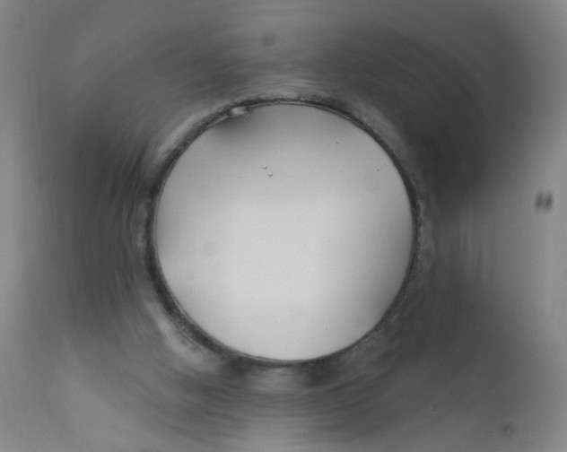 X0000112200058200909041327