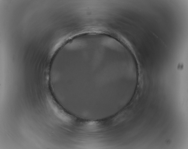X0000112200059200909041327