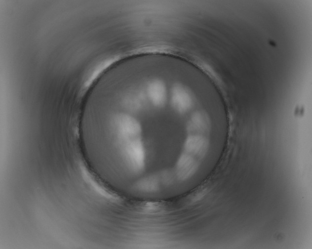 X0000112200060200909041327