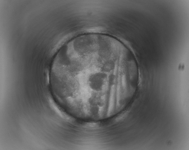 X0000112200061200909041327