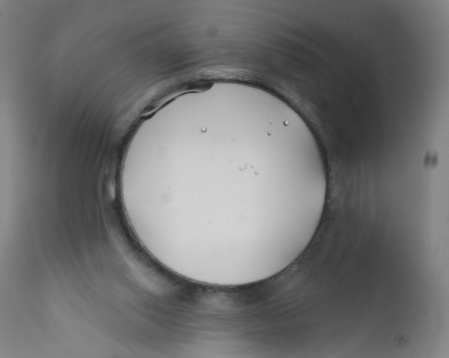 X0000112200062200909041327
