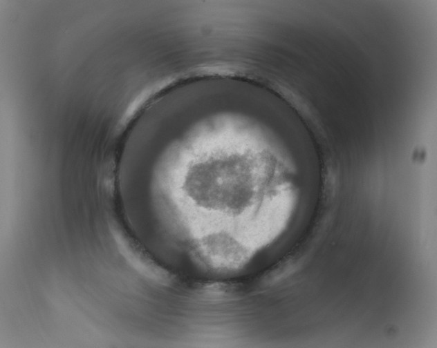 X0000112200064200909041327