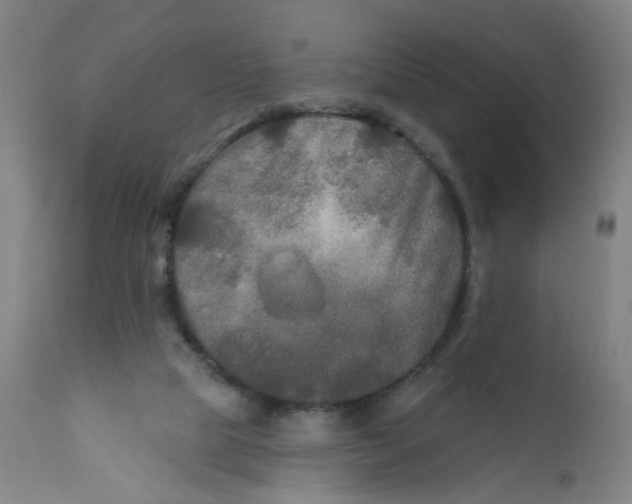 X0000112200065200909041327