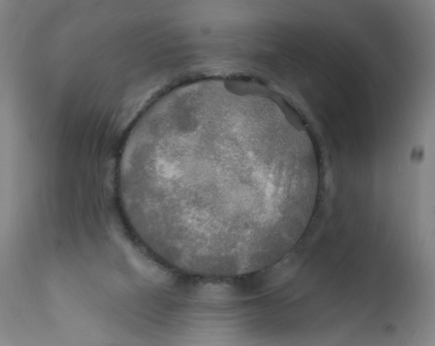 X0000112200066200909041327