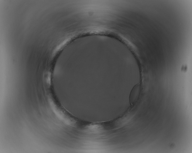 X0000112200067200909041327
