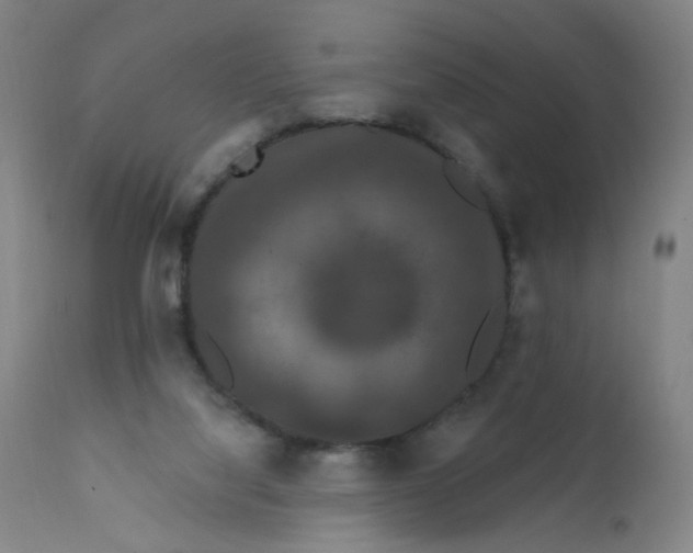 X0000112200068200909041327