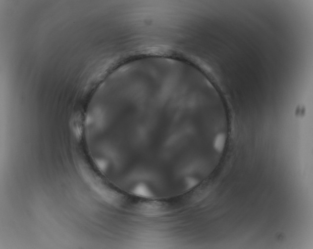 X0000112200069200909041327