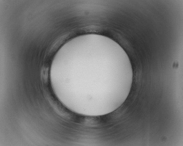 X0000112200070200909041327