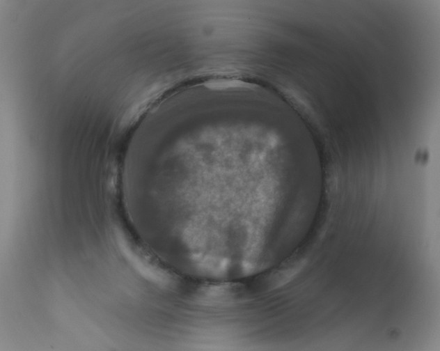 X0000112200072200909041327