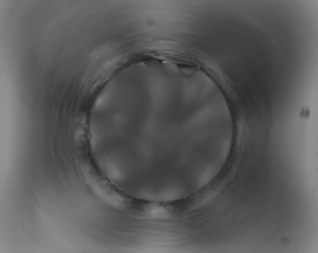 X0000112200073200909041327