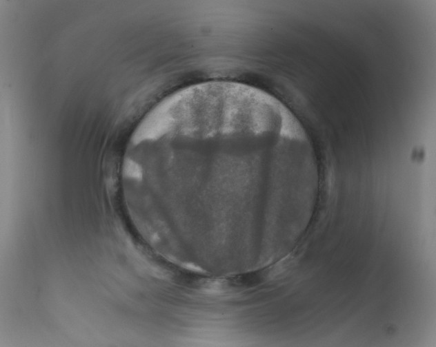 X0000112200074200909041327