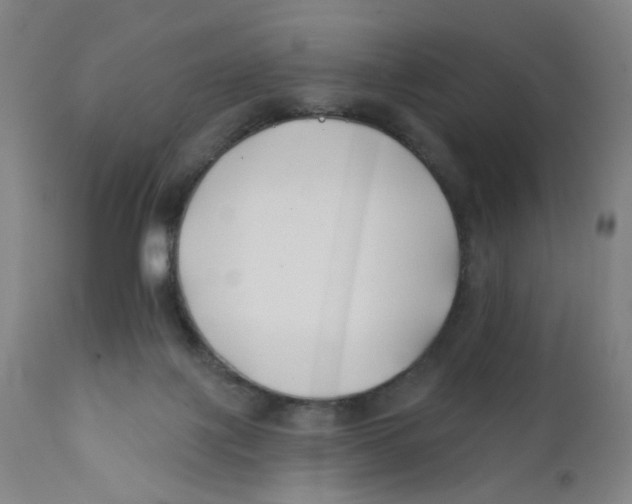 X0000112200075200909041327