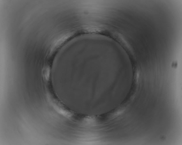 X0000112200076200909041327