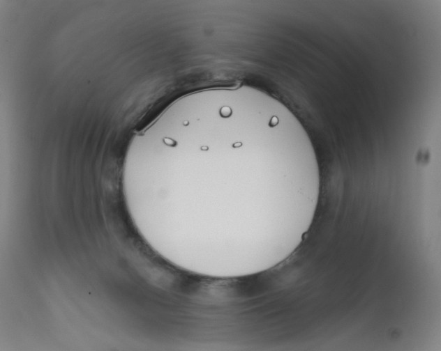 X0000112200078200909041327