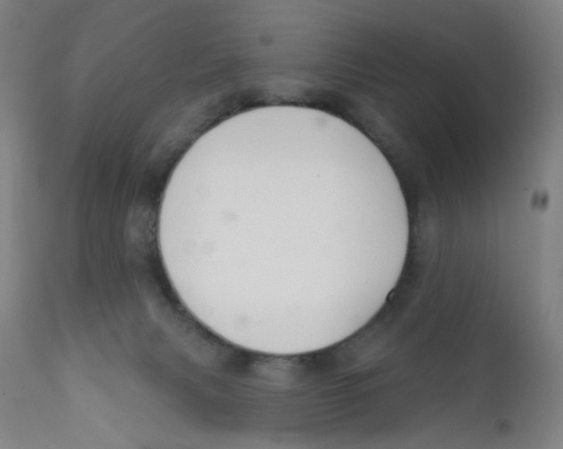 X0000112200079200909041327