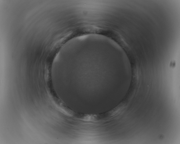 X0000112200080200909041327