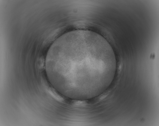 X0000112200081200909041327