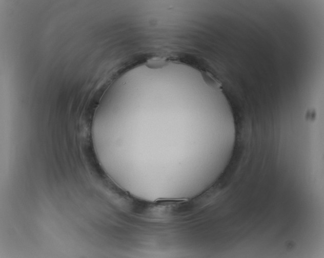 X0000112200084200909041327