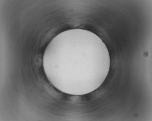 X0000112200085200909041327